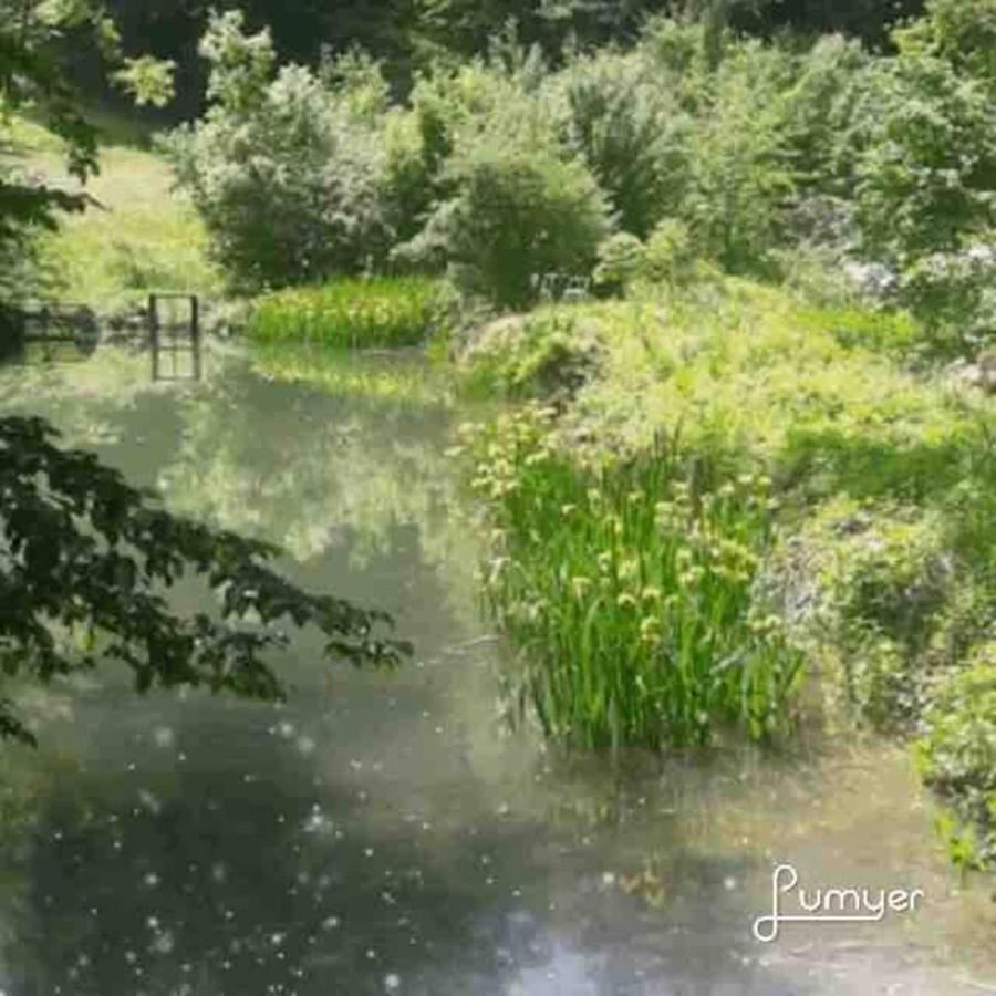 Charming 2-Bed Apartment In Arlesheim 15 Min Basel Extérieur photo